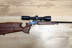 22 Hornet