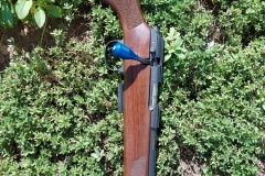 Mod.1